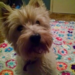 Meet your Posher, Keslie